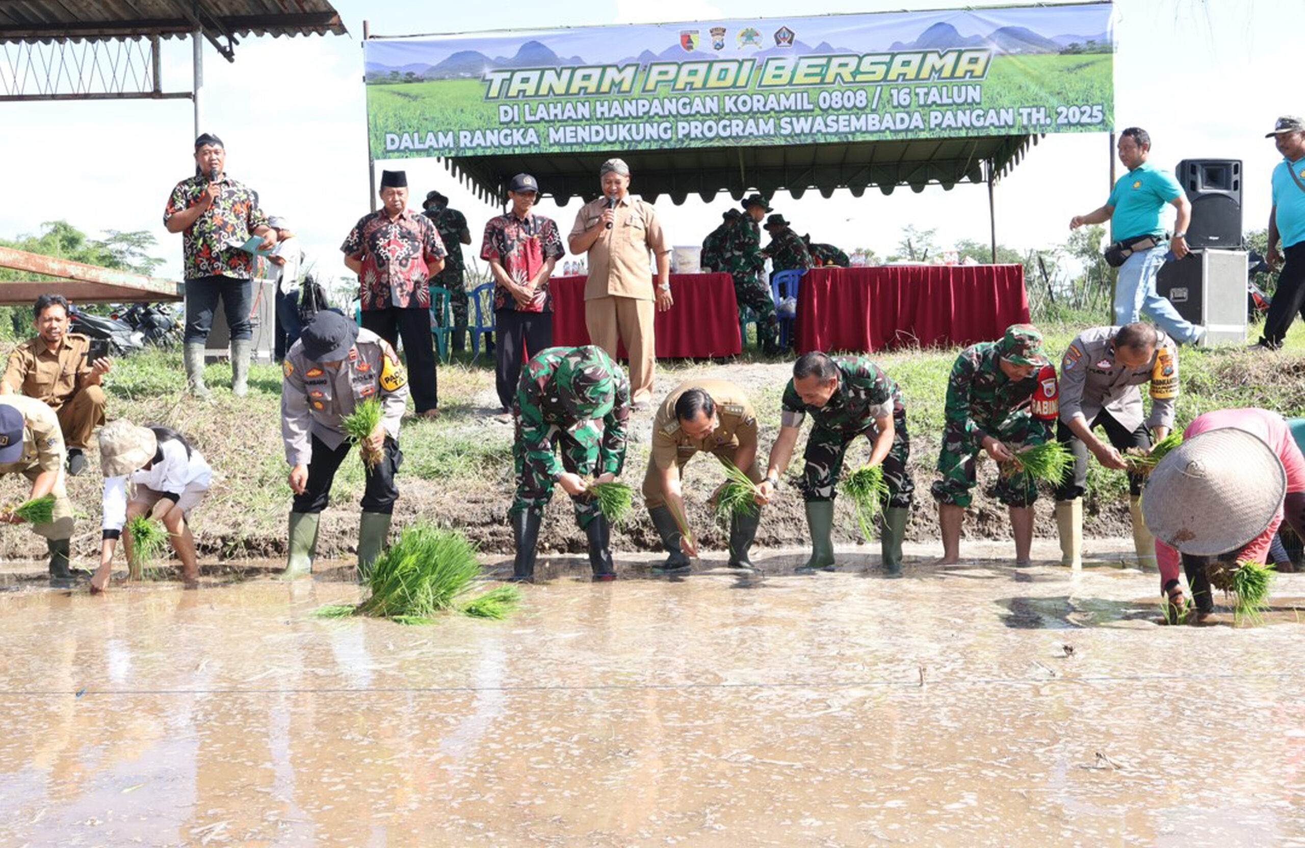 Dukung Swasembada Pangan Nasional, Koramil 0808/16 Talun Tanam Padi Bersama Forkopimcam Dan Masyarakat