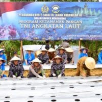 Koarmada III, Perkuat Ketahanan Pangan dengan Tebar Benih Ikan dan Tanam Cabai Koarmada III, Perkuat Ketahanan Pangan dengan Tebar Benih Ikan dan Tanam Cabai