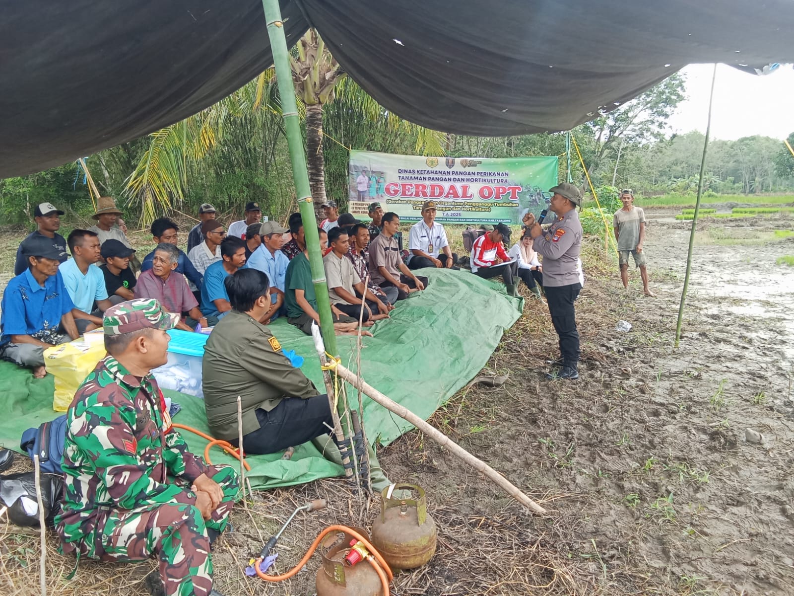Danramil Banua Lawas Dukung Aksi Massal Kendalikan Hama Tikus Sawah