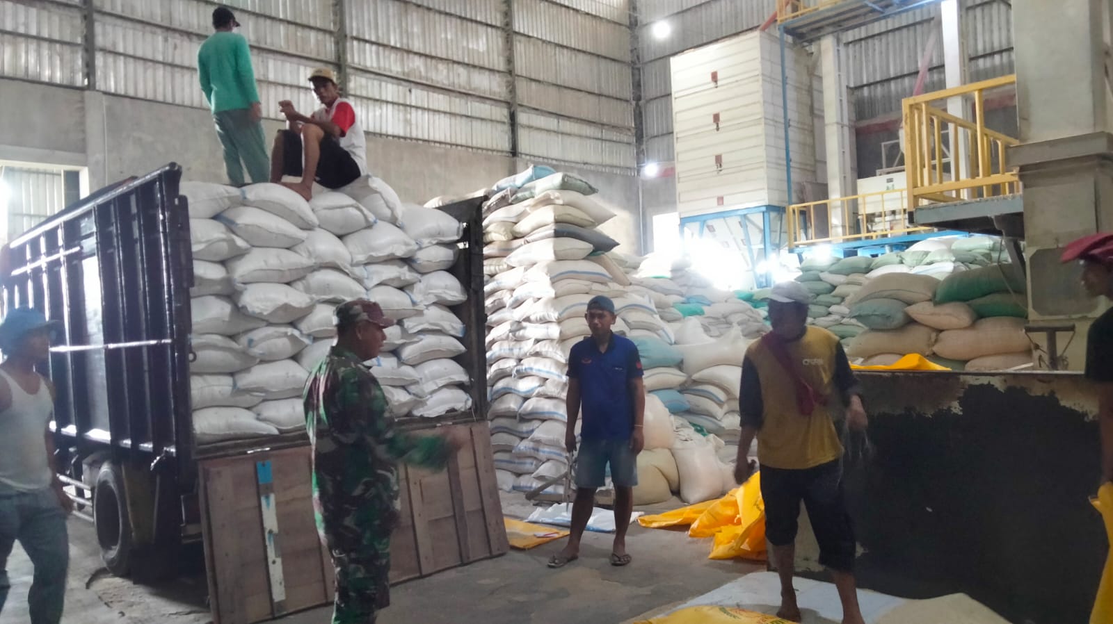 Babinsa Koramil Kraksaan Dampingi Pengecekan Kualitas Gabah untuk BULOG