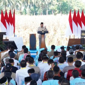 Panglima TNI Dampingi Presiden RI Tinjau Langsung Panen Raya Jagung di Kabupaten Bengkayang, Kalimantan Barat