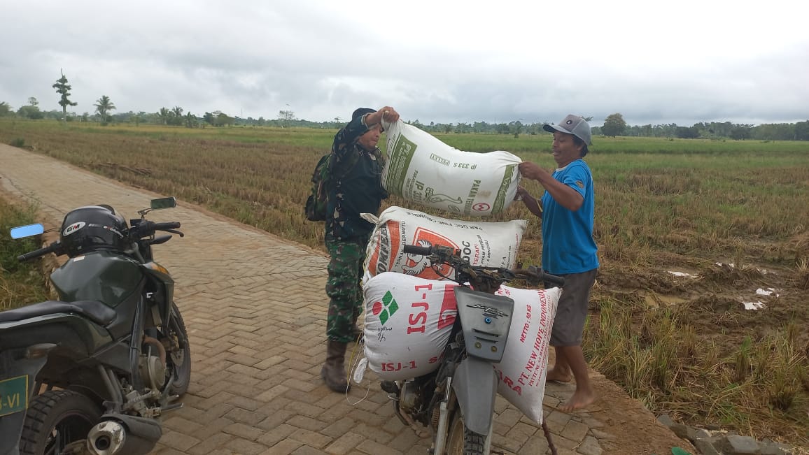 Tim Penerangan Kodim 1002 HST Bantu Warga Angkut Gabah