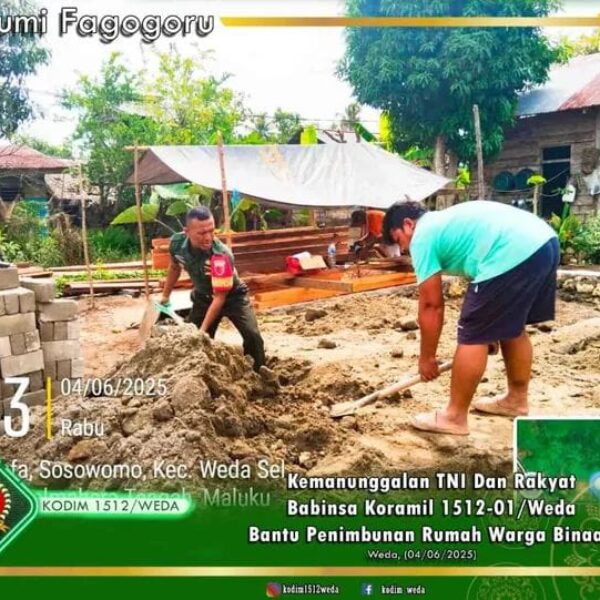 Kemanunggalan TNI Dan Rakyat, Babinsa Koramil 1512-01/Weda Bantu Penimbunan Rumah Warga Binaan