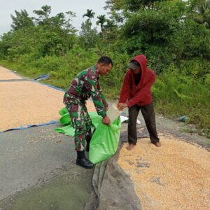 Babinsa Jadi Solusi Rakyat, Bantu Angkut Hasil Panen di Maba Selatan