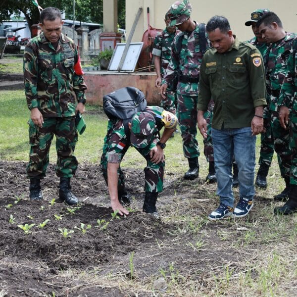 Dorong Ketahanan Pangan, Kasi Ops Korem 152/Baabullah Tinjau Sistem Blok Ketahanan Pangan Kodim 1505 Tidore