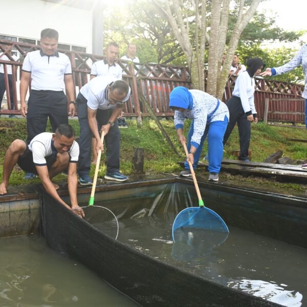 Lantamal XIV Wujudkan Kemandirian Pangan Melalui Panen Raya Lele