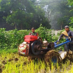 Koramil Wonoasih Dampingi Petani Tanam Jagung Antisipasi Darurat Pangan