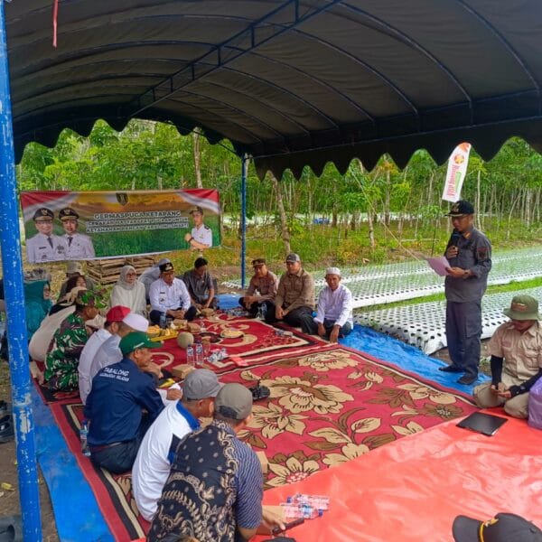 Tabalong SMART: Petani Pugaan Sukses Panen Melon, TNI dan Pemda Hadir Beri Semangat