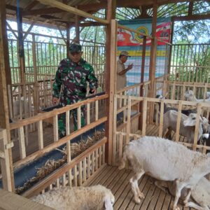 Berharap Sesuai Hasil Musyawarah, Koramil Bantaran Monev Penggunaan Anggaran Desa Binaan