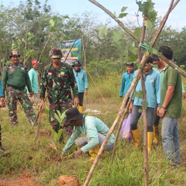 Ratusan Pohon Ditanam di Maburai, Simbol Bakti TNI untuk Lingkungan dan Generasi Mendatang