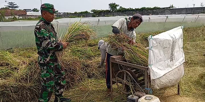 Kodim Probolinggo Melalui Koramil Jajaran Memastikan Ketersediaan Pangan Cukup Dan Terjangkau