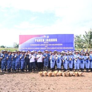 Danlanud Sultan Hasanuddin Pimpin Panen Jagung Hibrida di Lahan Binaan Lanud Seluas 53 Hektar, Dukung Ketahanan Pangan Nasional