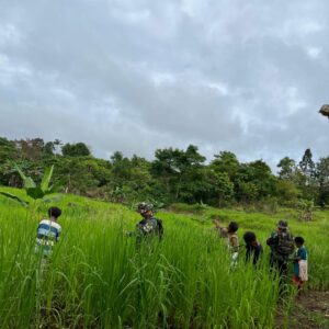 Lanjutkan Program Hanpangan Merah Putih, Satgas Yonif 126/KC Rawat Padi Gogo demi Swasembada
