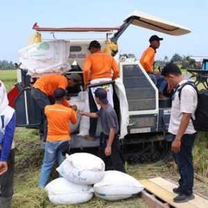 TNI Wujudkan Aksi Nyata, Dukung Ketahanan Pangan Nasional