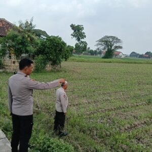 Kapolsek Kronjo Sambangi Petani, Pantau Pertumbuhan Bibit Jagung Program Gerakan Wangsakara Kapolsek Kronjo Sambangi Petani, Pantau Pertumbuhan Bibit Jagung Program Gerakan Wangsakara