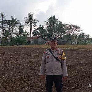 Bhabinkamtibmas Kronjo Tinjau Lahan Jagung Program Ketahanan Pangan di Desa Pasilian Bhabinkamtibmas Kronjo Tinjau Lahan Jagung Program Ketahanan Pangan di Desa Pasilian