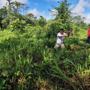 Jaga Aset, Anggota Kodim 1710/Mimika Bersihkan Lahan Satuan Jaga Aset, Anggota Kodim 1710/Mimika Bersihkan Lahan Satuan