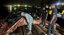 Bakamla RI dan Kemenhut Amankan Kayu Olahan Ilegal di Batam