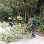 Babinsa Bersama Warga Lakukan Gotong Royong Bersihkan Dahan Pohon, Berikan Rasa Aman Pada Pengguna Jalan
