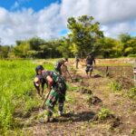 Satgas Yonif 312/KH Rawat Tanaman, Rawat Persaudaraan di Perbatasan Satgas Yonif 312/KH Rawat Tanaman, Rawat Persaudaraan di Perbatasan