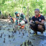 Lestarikan Pantai, Satgas TMMD Kodim 1505/Tidore Galakkan Penanaman Mangrove di Oba Selatan Lestarikan Pantai, Satgas TMMD Kodim 1505/Tidore Galakkan Penanaman Mangrove di Oba Selatan