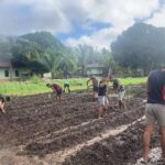 Dari Tanah Perbatasan, Tumbuh Harapan Baru: Satgas 312/KH Tanam Jagung di Rawabiru Dari Tanah Perbatasan, Tumbuh Harapan Baru: Satgas 312/KH Tanam Jagung di Rawabiru