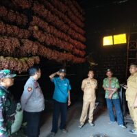 Sinergi TNI–Pemdes, Program Pembibitan Bawang Merah di Dringu Masuki Tahap Evaluasi