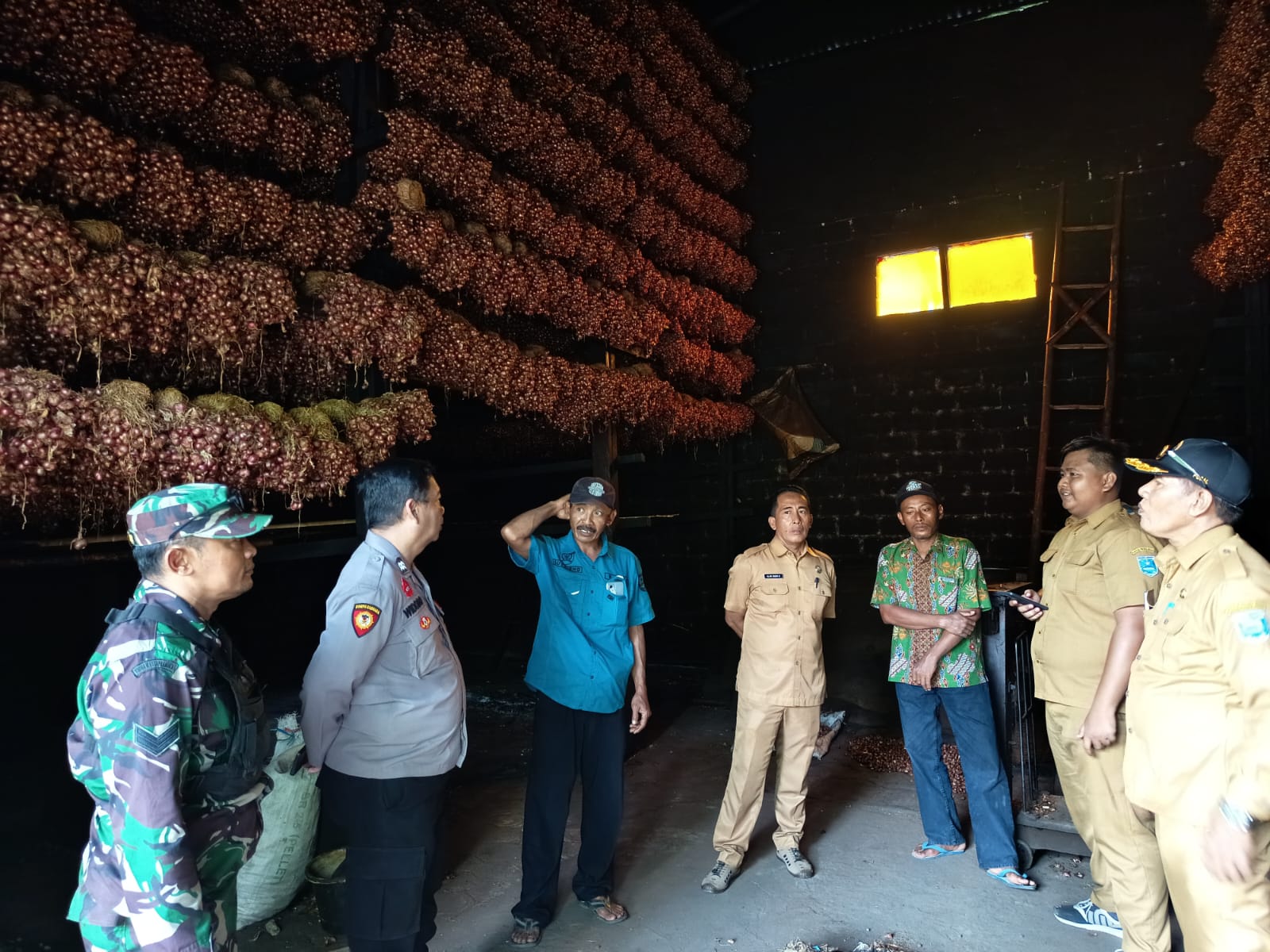 Sinergi TNI–Pemdes, Program Pembibitan Bawang Merah di Dringu Masuki Tahap Evaluasi