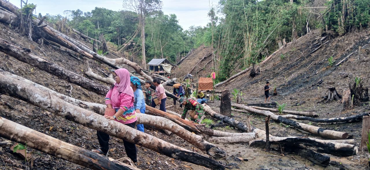 Babinsa Hadir di Lapangan, Warga Pembakulan Terbantu dalam Proses Tanam Padi