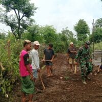 Babinsa dan Warga Bersihkan Jalan Desa, Pemdes Wonorejo Apresiasi Sinergi TNI-Masyarakat