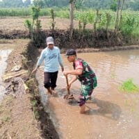 Babinsa Sertu Aksan Hadir di Tengah Petani Banyuanyar, Pastikan Tanggul Sawah Siap Masa Tanam