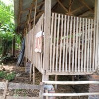 Anggaran Lumbung Desa dan Ketahanan Hewani Jorongan Disorot, Fakta Lapangan Tak Berbanding Lurus