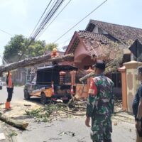 Babinsa Karangtengah, Sigap Bantu Evakuasi Rumah Warga Tertimpa Pohon Tumbang Akibat Angin Kencang