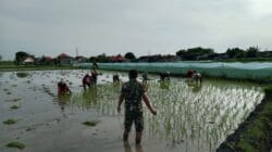 IMG-20260104-WA0066