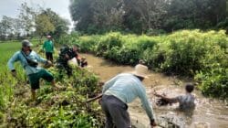 Cegah Banjir, Babinsa Batang Alai Selatan Bersama Warga Bersihkan Sungai
