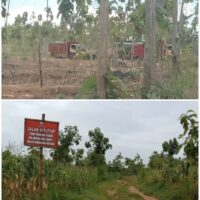 UU Minerba Tinggal Teks: Mengapa Tambang Tanpa Izin di Tuban Tak Tersentuh Hukum?