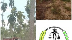 Bukan Hukum yang Kalah, Tapi Negara yang Sengaja Menyerah Dengan Penguasa Tambang Di Tuban