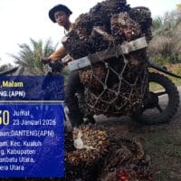 PT. Agrinas Sukaramai Labura Berdayakan Pekerjakan Masyarakat Sekitar, Hadapi Tantangan Pencurian