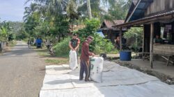 Wujud Kemanunggalan TNI-Rakyat, Babinsa BAS Bantu Petani Jemur Padi