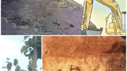 Tambang Ilegal Tuban Jadi Tamparan Keras Komitmen Pemberantasan Illegal Mining