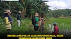 foto website (15)