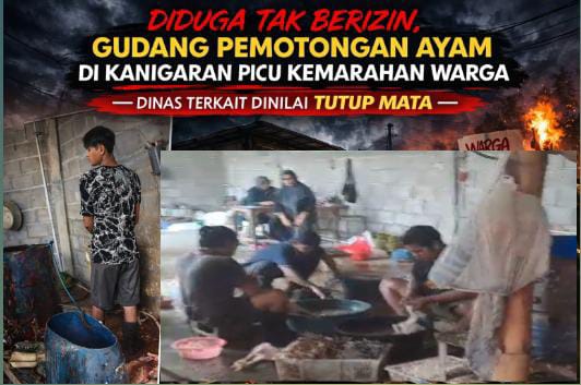 Lingkungan Tercemar, Legalitas Dipertanyakan: Polemik Gudang Ayam di Kota Probolinggo Lingkungan Tercemar, Legalitas Dipertanyakan: Polemik Gudang Ayam di Kota Probolinggo