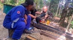IMG-20260420-WA0151