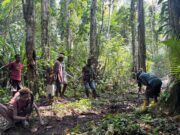 Progres TMMD ke-128 Kodim 1801/Manokwari: Satgas Fokus Selesaikan Pembuatan Kusen dan Pondasi Rumah Warga