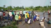 Demi Kelancaran Irigasi Pertanian, Babinsa Kamulan Dampingi Pembersihan Sungai Sodetan Kaliputih