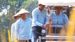 Sinergi Muspida Kota Blitar dalam Panen Raya, Wujudkan Kemandirian Pangan Daerah