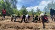 Bedengan Rampung, Lahan Program TMMD di Kampung Keakwa Siap Ditanami