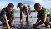 Bersatu Dengan Alam, Satgas TMMD Kodim 1710/Mimika Tanam Ribuan Bibit Mangrove