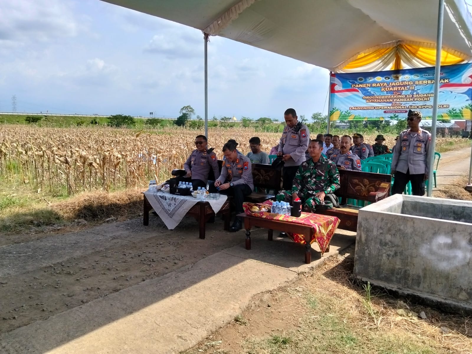 Koramil Sumberasih Hadiri Panen Raya Jagung Kuartal Kedua Di Lahan Pertanian P2TP MUNENG