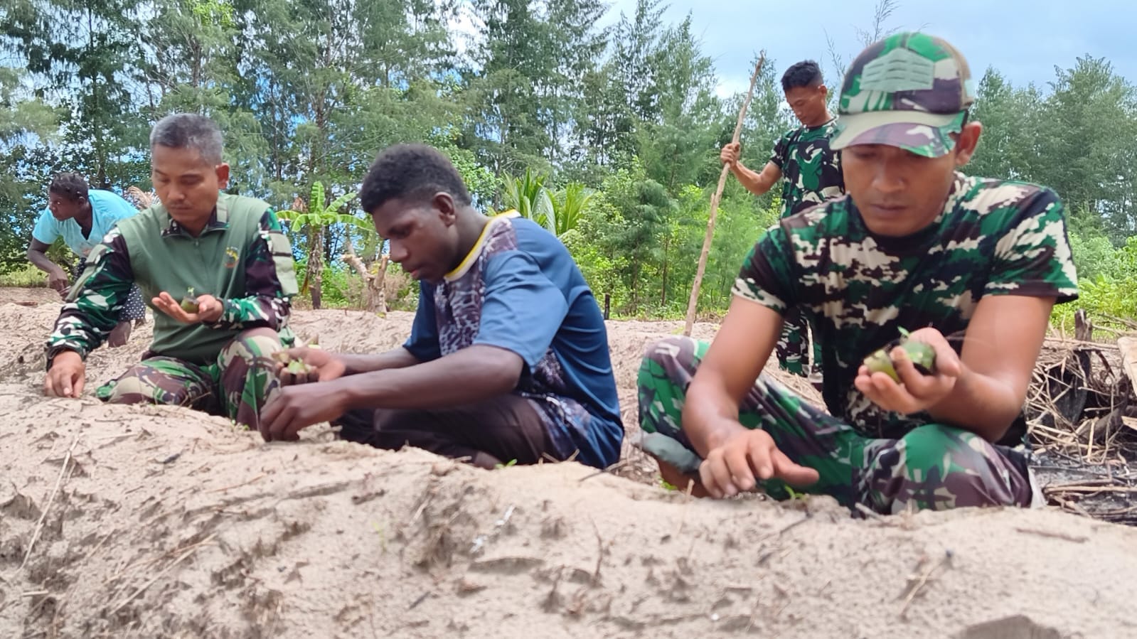 Manfaatkan Lahan Tidur, Satgas TMMD Ke-128 Kodim 1710/Mimika Tanam Jagung Bersama Warga Manfaatkan Lahan Tidur, Satgas TMMD Ke-128 Kodim 1710/Mimika Tanam Jagung Bersama Warga